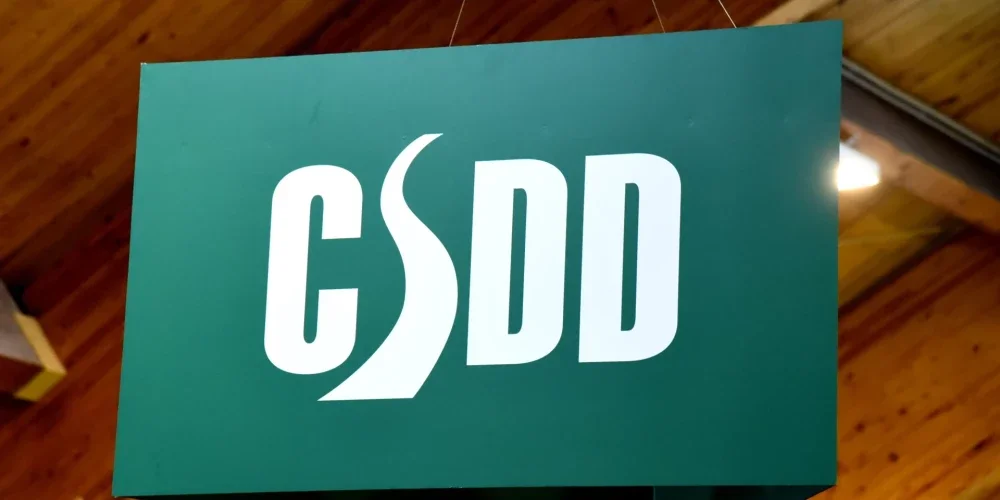 Утечка данных в CSDD: персональная информация 1 млн жителей