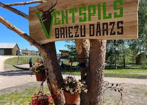 Ventspils briežu dārzā pēc uzbrukuma putniem iemidzināti suņi