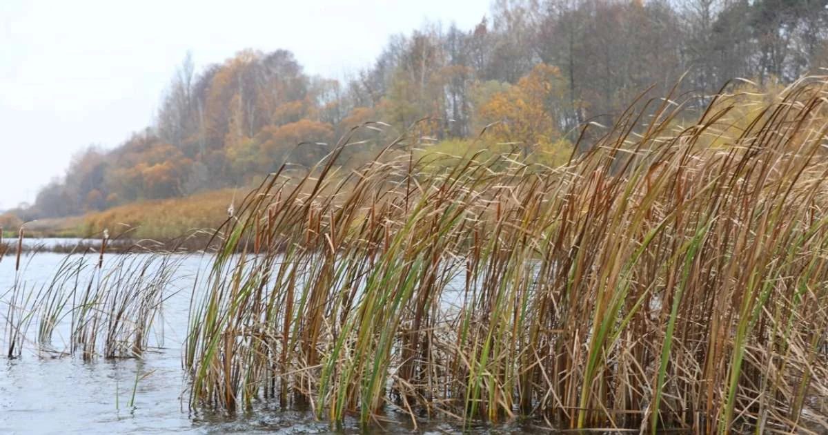 Alūksnē glābēji no ezera izceļ vēja aizpūstu plostu ar cilvēkiem