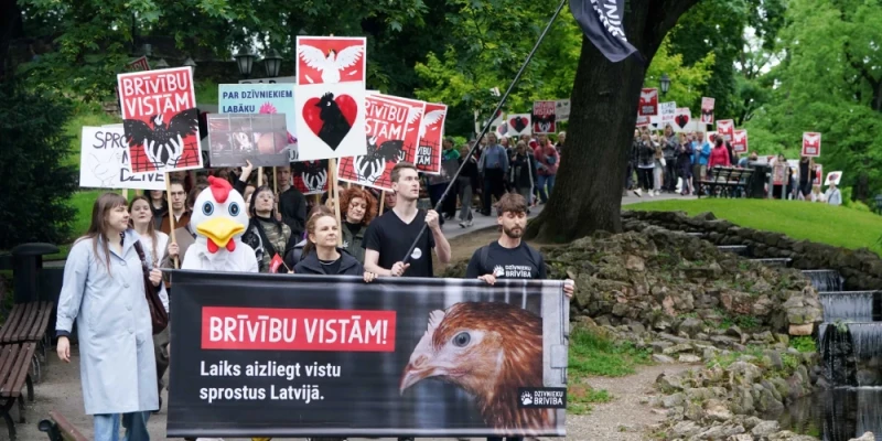 В Латвии подписали меморандум о благополучии кур-несушек