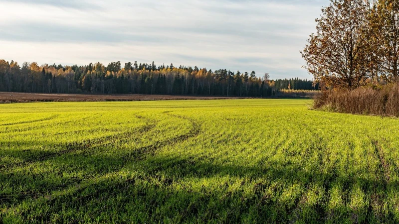 EK plāno 540 miljonu eiro atbalstu lauksaimniekiem