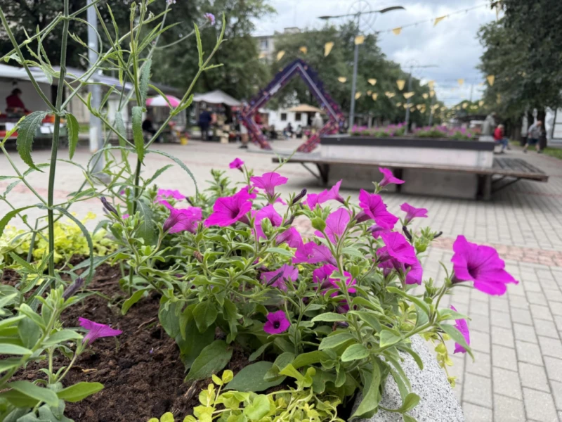 Jelgavas ielās sāk stādīt vasaras puķes