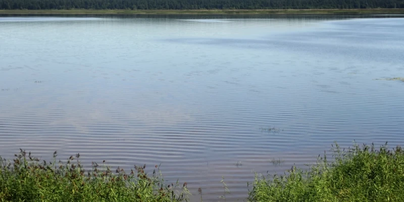 Температура воды в водоемах Латвии: где можно купаться