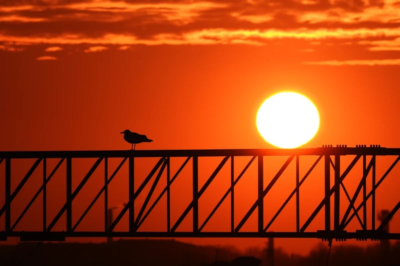 Latvijā iestājas astronomiskā vasara: cik gara būs īsākā nakts?