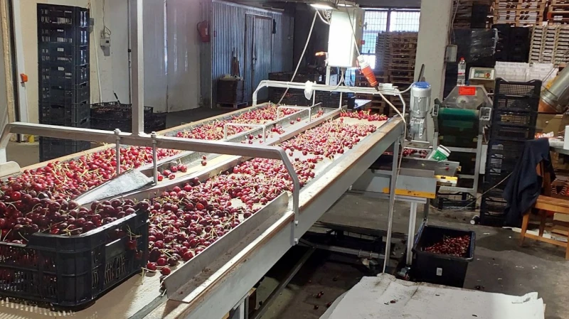 PVD aptur SIA Topfruit darbību higiēnas pārkāpumu dēļ
