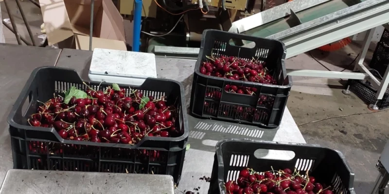 PVD закрыла склад Topfruit в Риге из-за антисанитарии