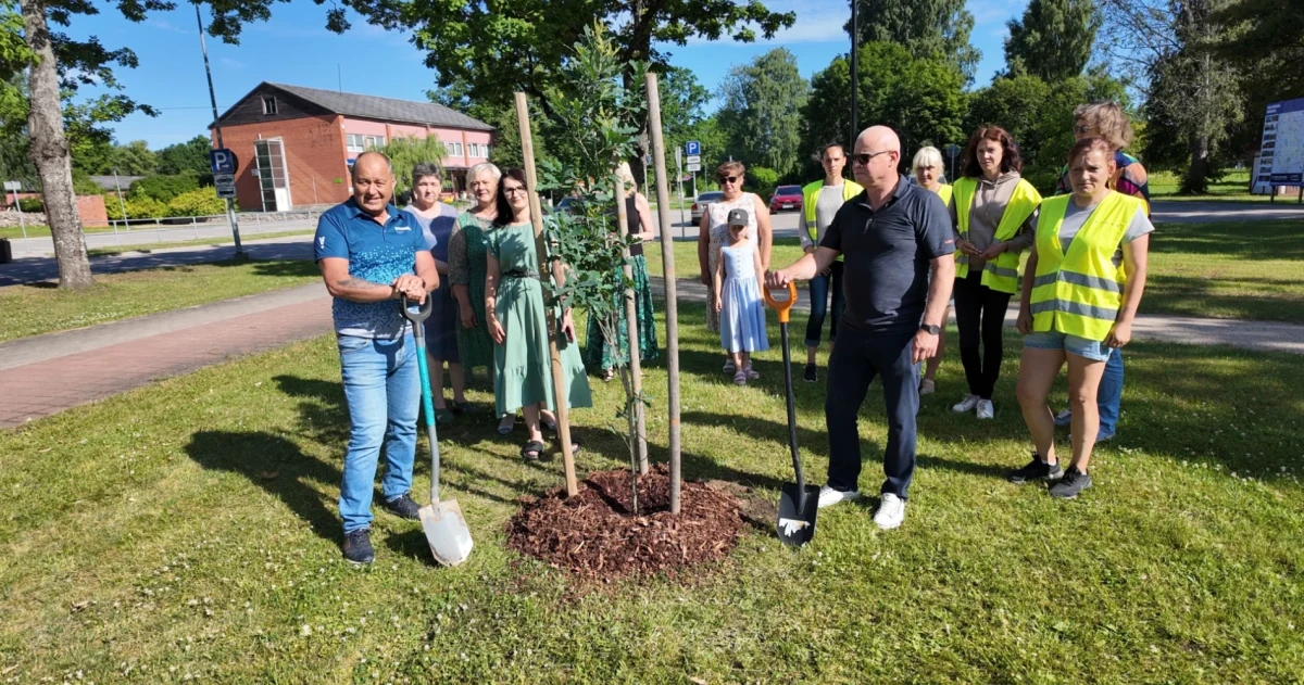 Valmieras novads piecu gadu jubilejā stāda spēka ozolus