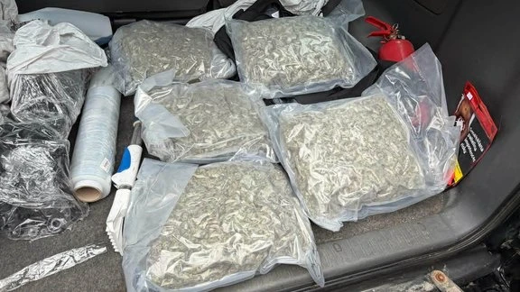 Полиция Латвии изъяла 30 кг марихуаны у группы наркоторговцев