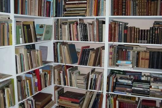 Гуна Зелмене: почему бумажные книги станут предметом роскоши