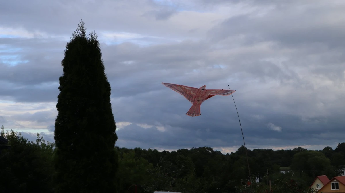 Dagdas festivāls: kā māksla atdzīvina Latvijas perifēriju