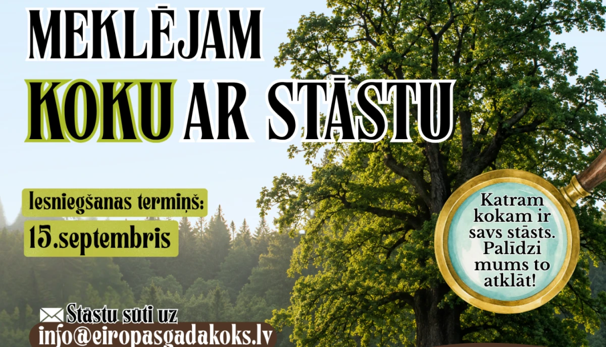 Latvijā meklē kokus ar īpašiem stāstiem konkursam 2026