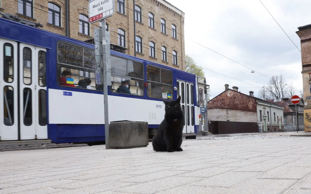 Spēcīgās lietusgāzes Rīgā aptur 7. un 14. maršruta tramvajus