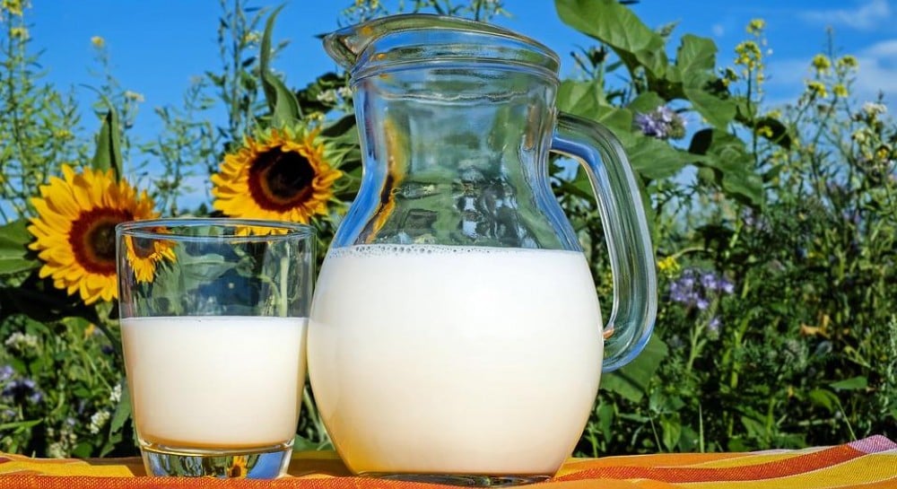 Диетологи назвали молоко лучшим продуктом для здоровья костей