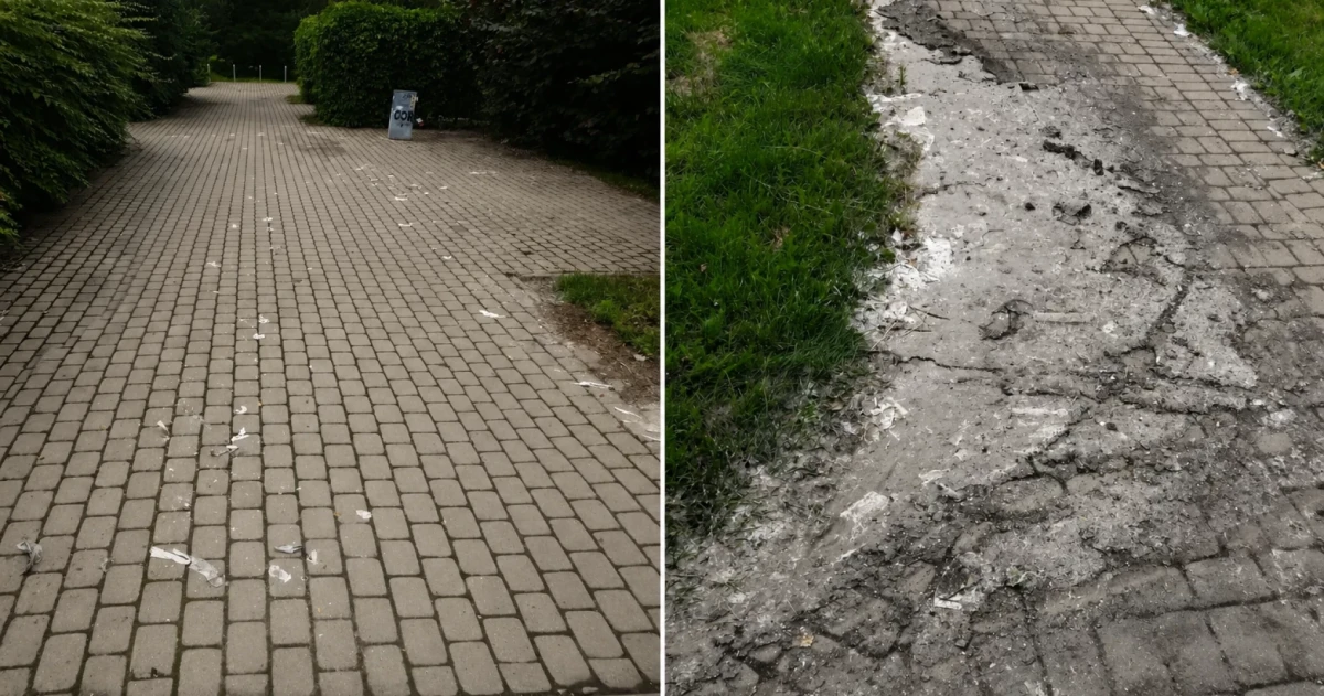 В парке Сканстес в Риге нашли источник неприятного запаха