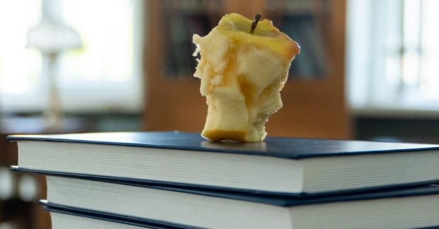 Можно ли есть сердцевину яблока и опасны ли семечки