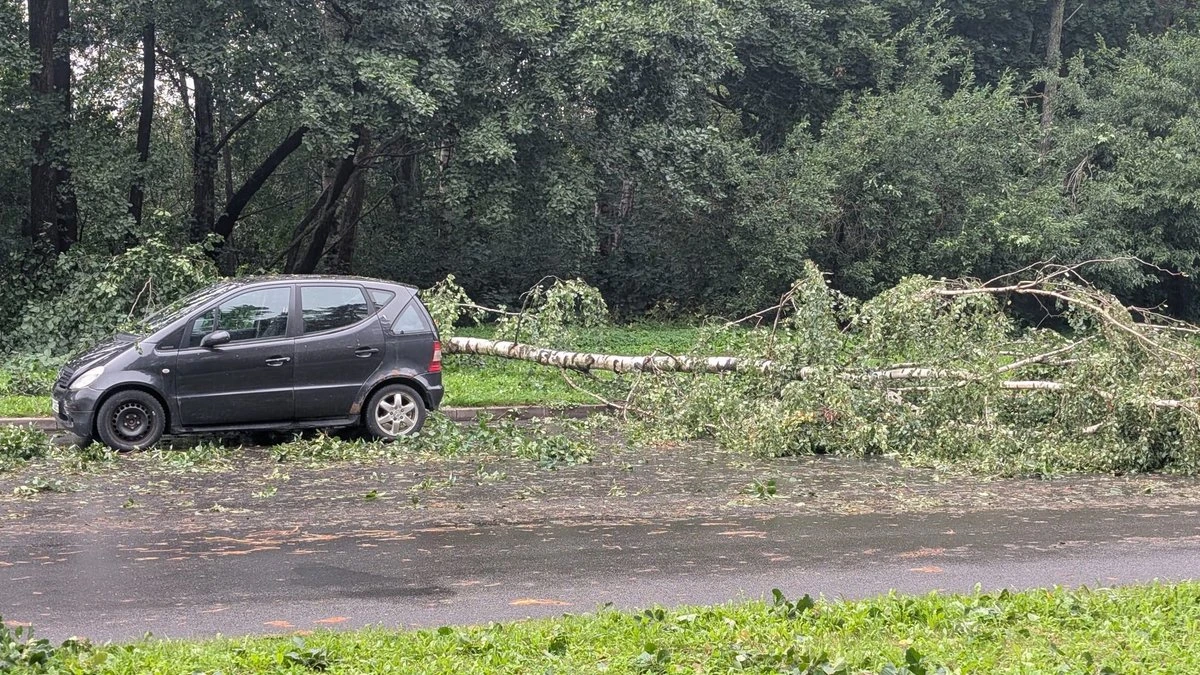 Vētras seku apsekošanai Latvijā izmantos dronus