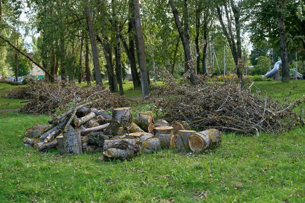 Rīgā pēc vētras Priska turpinās koku vākšana un sakopšana