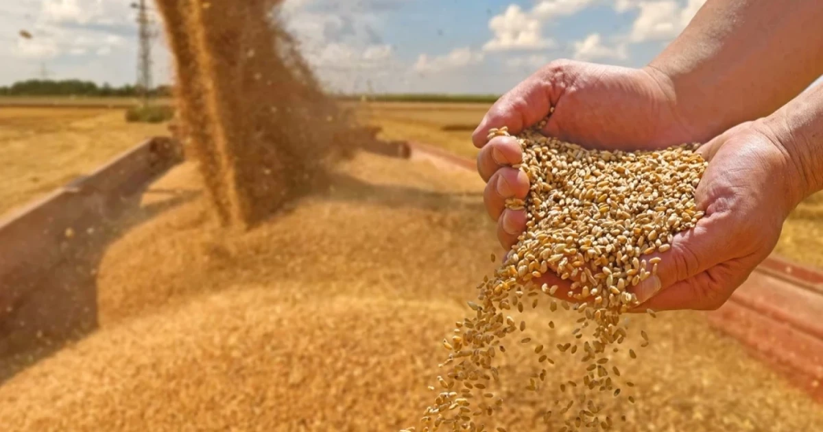 Цены на продукты в мире достигли максимума за четыре года