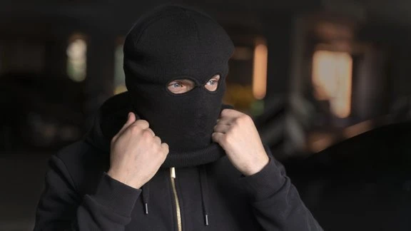 Во Франции из музея Ренуара похитили картины на 9 млн евро