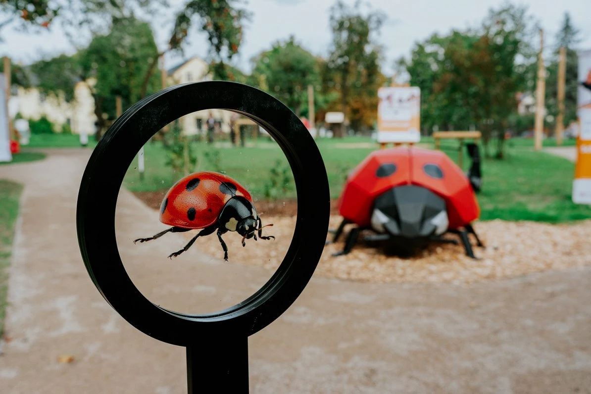 Bērnu slimnīcas parkā atklāts pacientu līdzdalībā tapis laukums