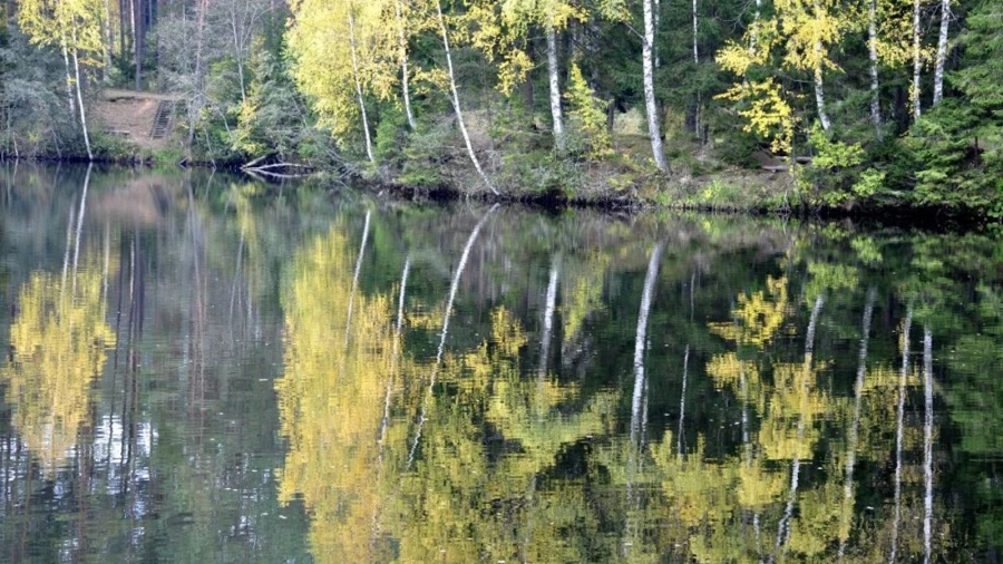 Oktobra sākumā Latvijā saglabāsies mierīgi laika apstākļi