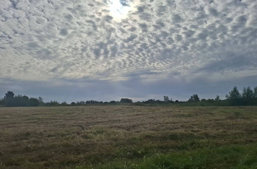 Klimata politikā Latvijā vērojams progress, taču pastāv strīdi