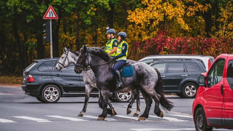 Зачем полиции в Риге нужны конные патрули