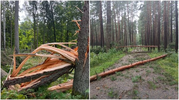 Sadales tīkls переходит на усиленный режим из-за шторма