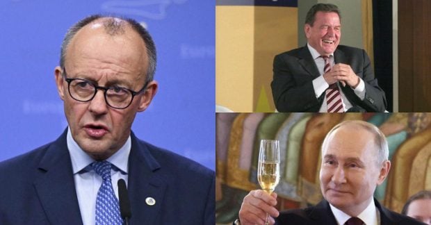 Визит Шрёдера к Путину вызвал критику в правительстве Германии
